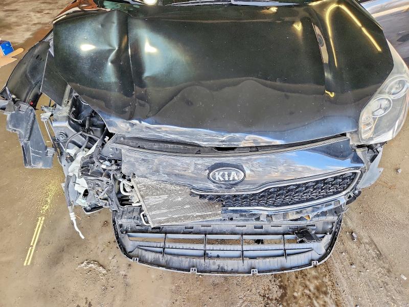 Продаж на аукціоні авто 2017 Kia Sportage, vin: KNDPMCAC7H7188354, номер лоту: 48230356