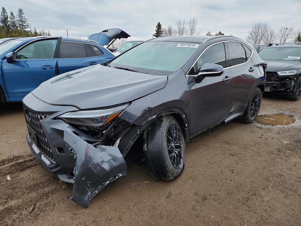 Продажа на аукционе авто 2025 Lexus Nx 350h, vin: 2T2GKCEZ9SC045718, номер лота: 48678836
