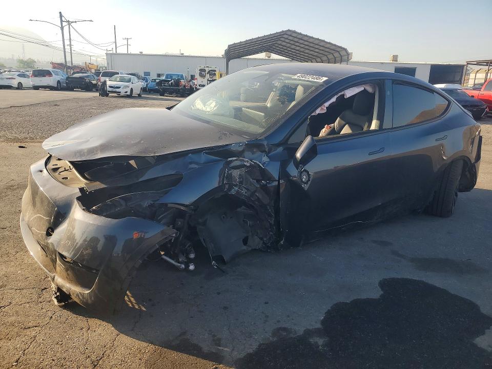 Продажа на аукционе авто 2024 Tesla Model Y, vin: 7SAYGDEF8RF087408, номер лота: 49022486