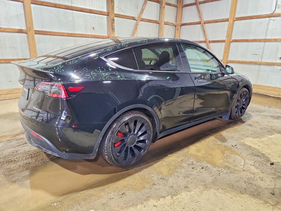 Продаж на аукціоні авто 2023 Tesla Model Y, vin: 7SAYGDEF4PF788069, номер лоту: 51375286