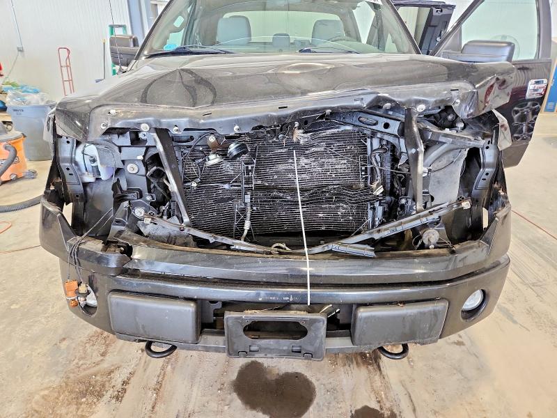 Aukcja sprzedaży 2013 Ford F150, vin: 1FTFX1EF9DFA79650, numer aukcji: 51167496