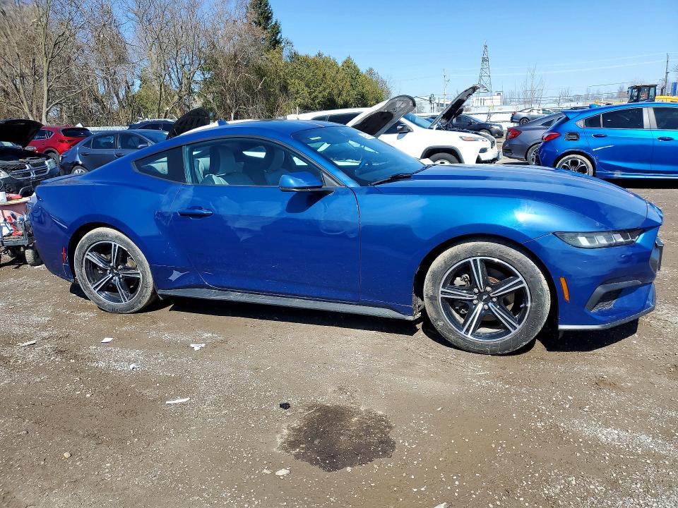 Продаж на аукціоні авто 2024 Ford Mustang, vin: 1FA6P8TH3R5112559, номер лоту: 49237866