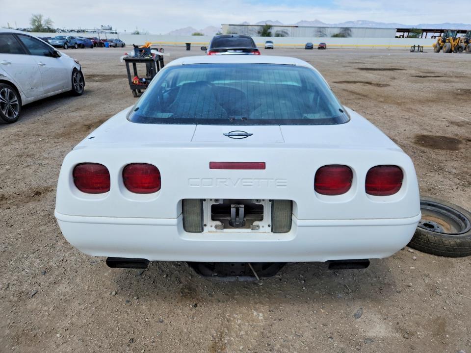 50187946 :رقم المزاد ، 1G1YY22P3T5101213 vin ، 1996 Chevrolet Corvette مزاد بيع