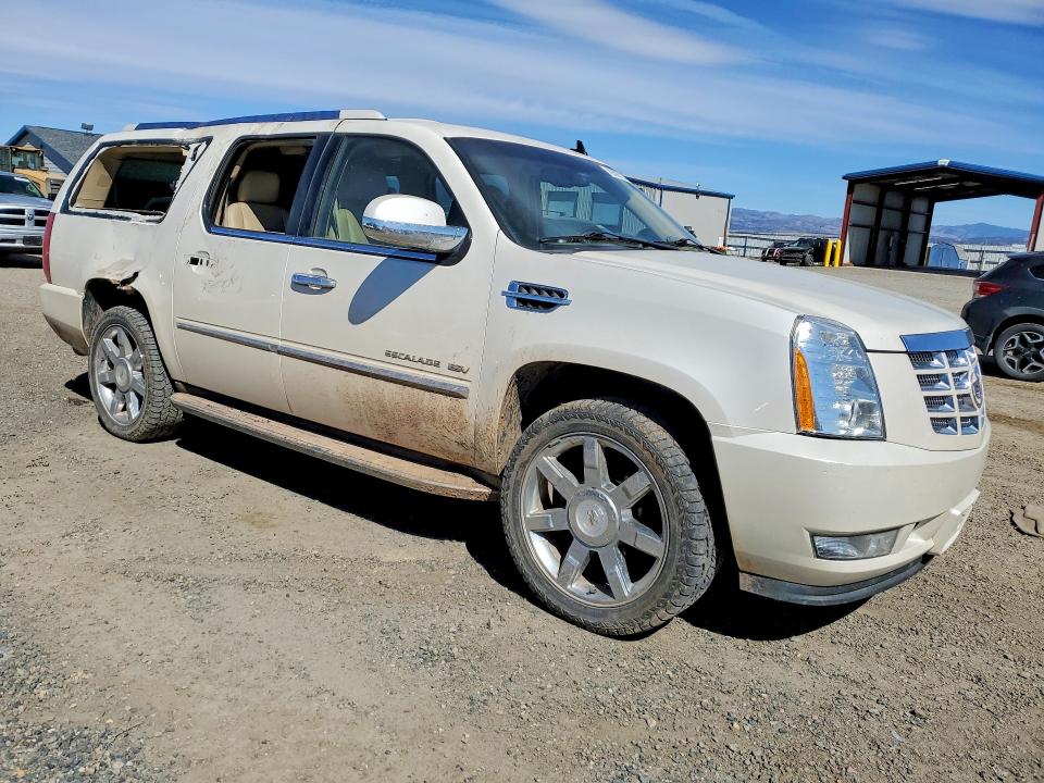 Продаж на аукціоні авто 2011 Cadillac Escalade, vin: 1GYS4HEF1BR100416, номер лоту: 49307276