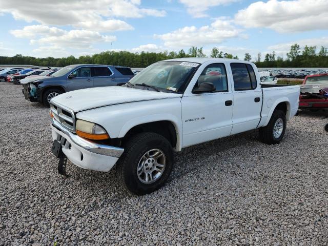 Aukcja sprzedaży 2001 Dodge Dakota, vin: 1B7GG2ANX1S113430, numer aukcji: 48491256