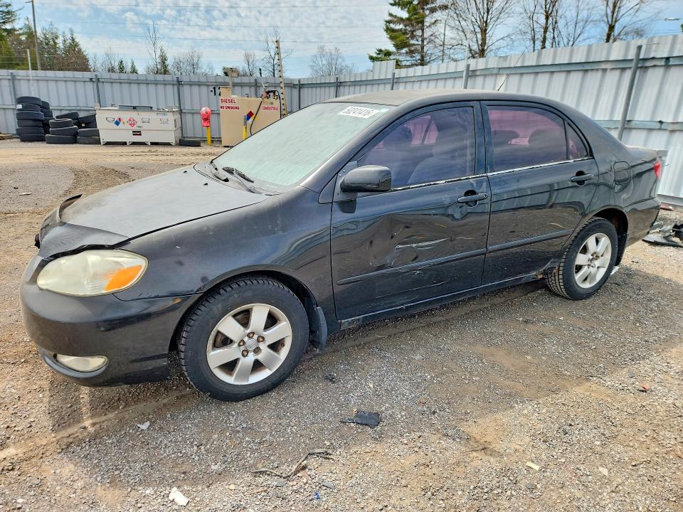50241416 :رقم المزاد ، 2T1BR32E95C862882 vin ، 2005 Toyota Corolla مزاد بيع