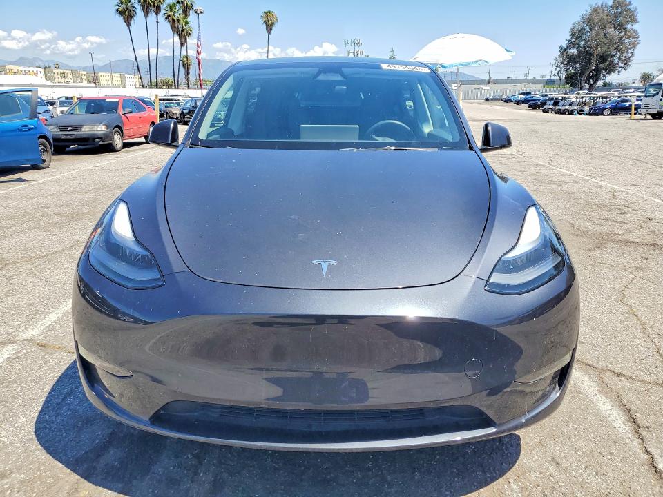 2024 Tesla Model Y მანქანა იყიდება აუქციონზე, vin: 7SAYGDEDXRF002874, აუქციონის ნომერი: 49754646