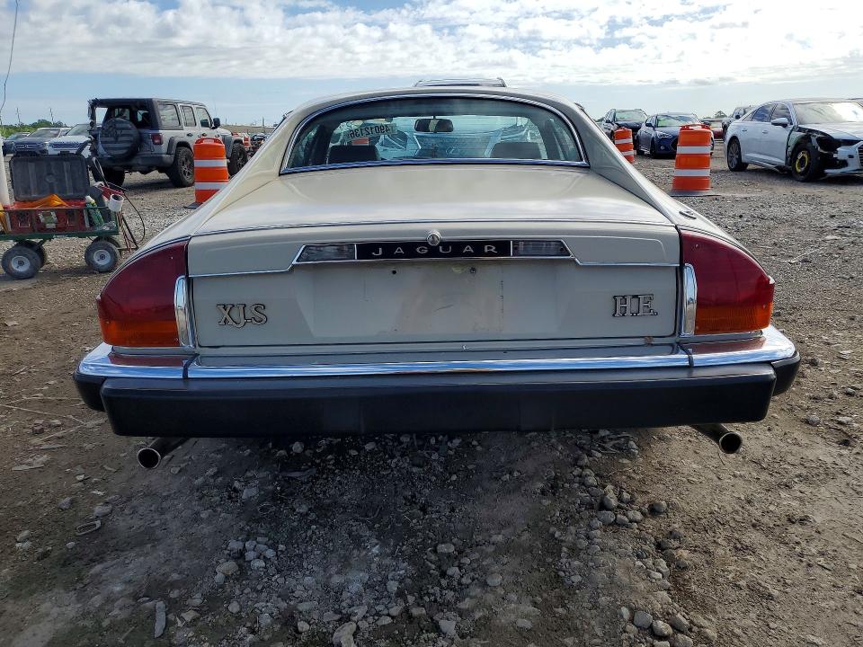 49012136 :رقم المزاد ، SAJNV5846EC117052 vin ، 1984 Jaguar Xjs مزاد بيع