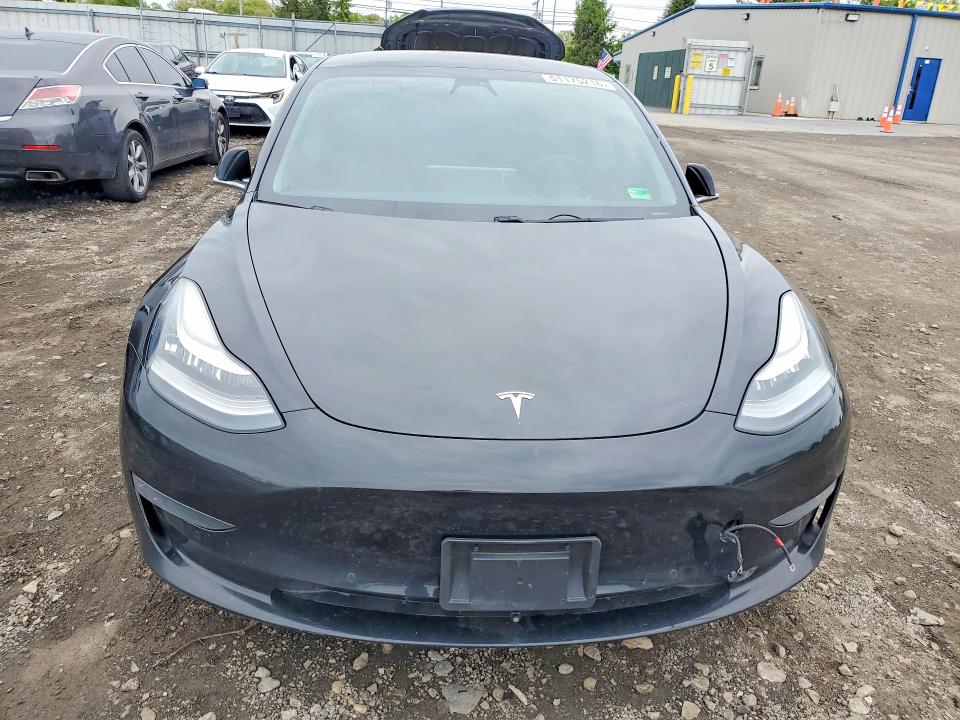 51175216 :رقم المزاد ، 5YJ3E1EA5KF421061 vin ، 2019 Tesla Model 3 مزاد بيع