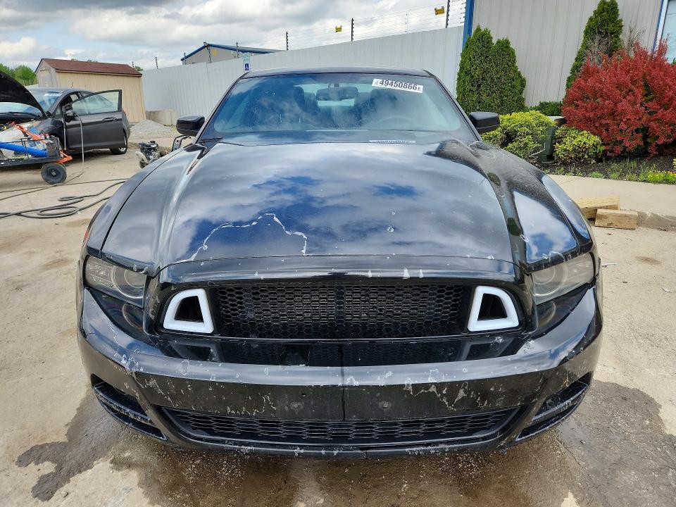 Продажа на аукционе авто 2013 Ford Mustang, vin: 1ZVBP8AM2D5252732, номер лота: 49450866