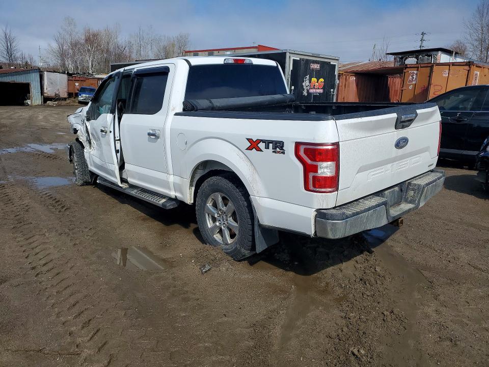 49437936 :رقم المزاد ، 1FTEW1EP0KKD01309 vin ، 2019 Ford F150 مزاد بيع