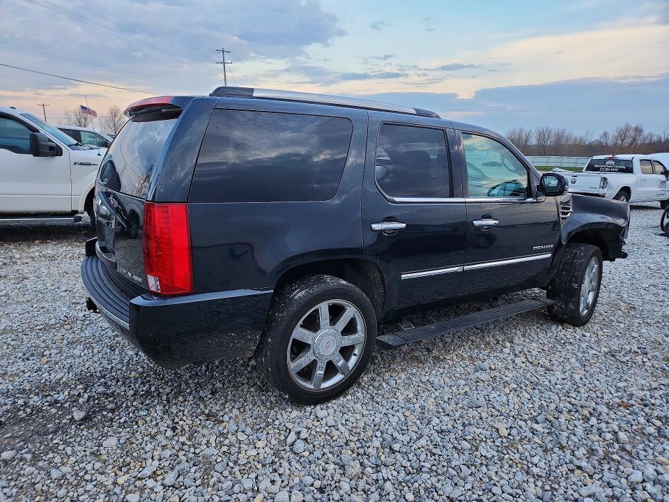 Продаж на аукціоні авто 2010 Cadillac Escalade, vin: 1GYUKCEF4AR194436, номер лоту: 49485956