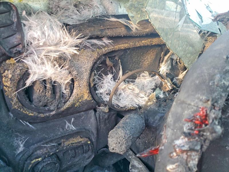 Aukcja sprzedaży 2020 Jeep Gladiator, vin: 1C6JJTAG7LL218087, numer aukcji: 50990646