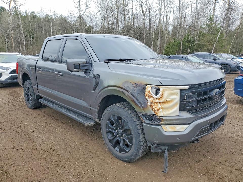 2022 Ford F150 მანქანა იყიდება აუქციონზე, vin: 1FTFW1E89NFB68365, აუქციონის ნომერი: 50834576
