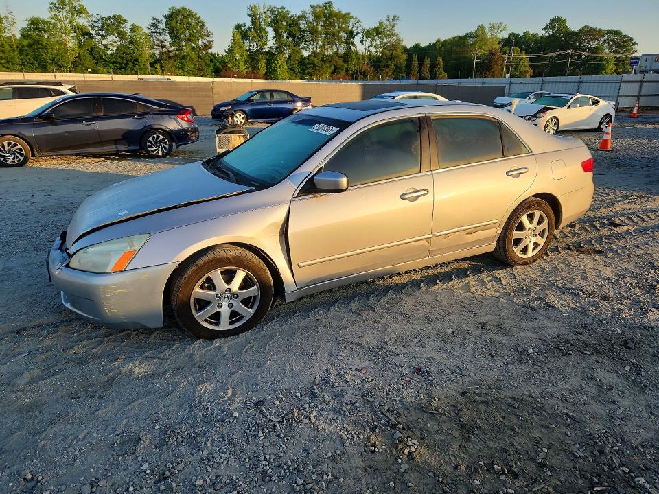 51003366 :رقم المزاد ، 1HGCM66895A049816 vin ، 2005 Honda Accord مزاد بيع