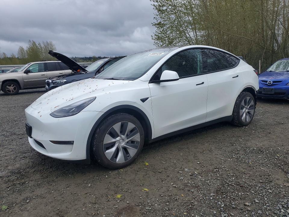 Продаж на аукціоні авто 2023 Tesla Model Y, vin: 7SAYGDEE1PF804249, номер лоту: 49501426