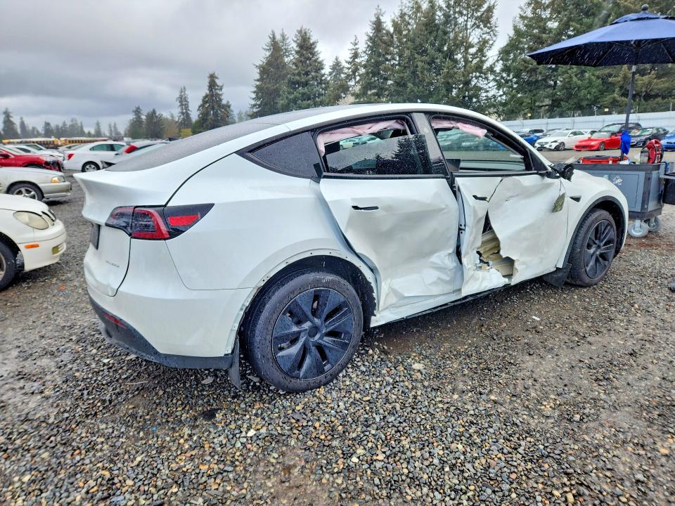 Продаж на аукціоні авто 2024 Tesla Model Y, vin: 7SAYGDEE4RF190459, номер лоту: 49838876