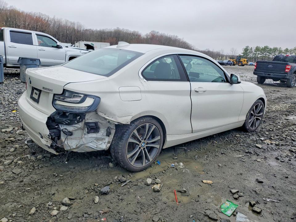 Продаж на аукціоні авто 2015 Bmw 228, vin: WBA1F7C50FVX96230, номер лоту: 48644866