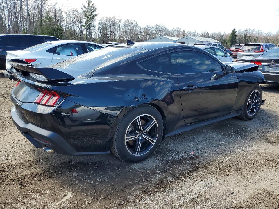 50737306 :رقم المزاد ، 1FA6P8TH5R5134045 vin ، 2024 Ford Mustang مزاد بيع