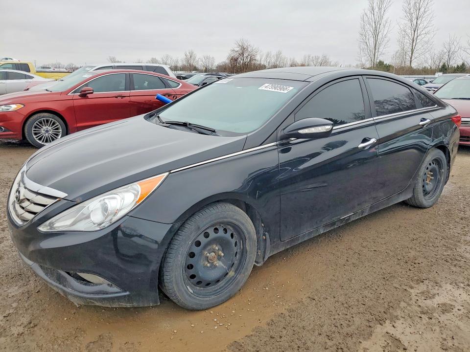 47990966 :رقم المزاد ، 5NPEC4AC7DH505071 vin ، 2013 Hyundai Sonata مزاد بيع