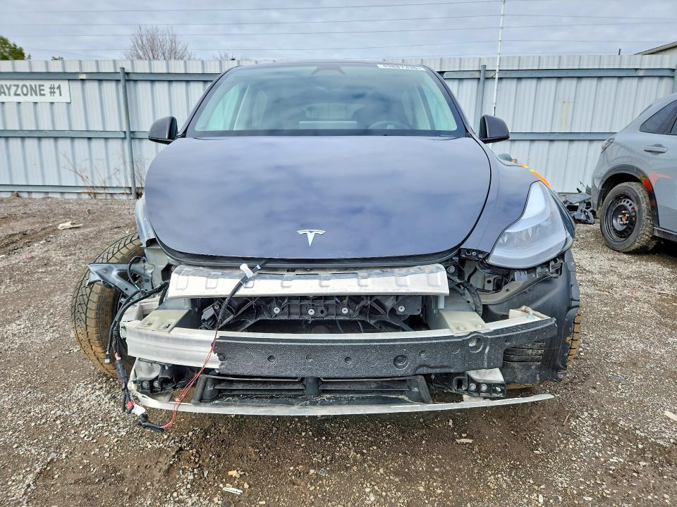 Продаж на аукціоні авто 2025 Tesla Model Y, vin: 7SAYGDED4SF283530, номер лоту: 49887336