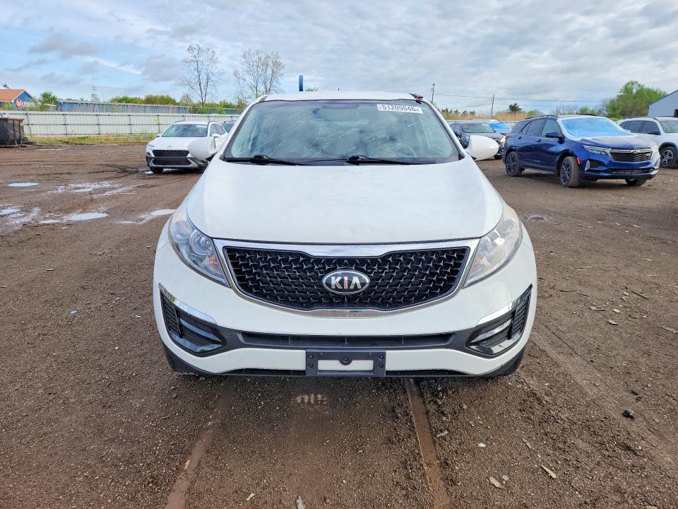 Продажа на аукционе авто 2016 Kia Sportage, vin: KNDPB3AC5G7804296, номер лота: 51209046