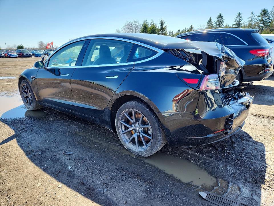 Продаж на аукціоні авто 2020 Tesla Model 3, vin: 5YJ3E1EA9LF802168, номер лоту: 50244966