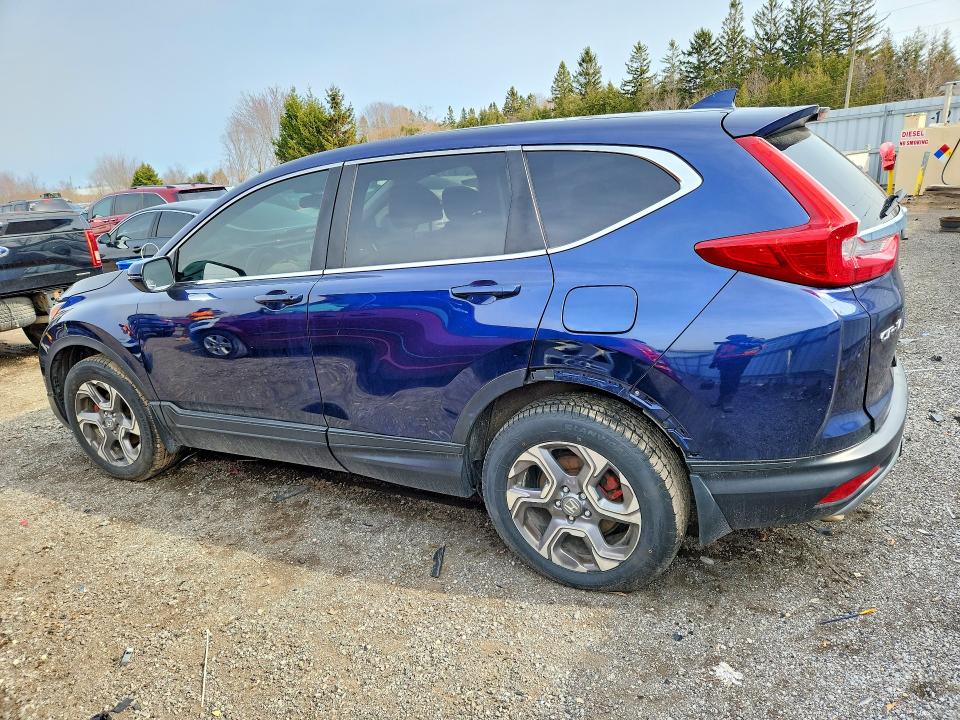 48307956 :رقم المزاد ، 2HKRW2H55KH144571 vin ، 2019 Honda Cr-v مزاد بيع