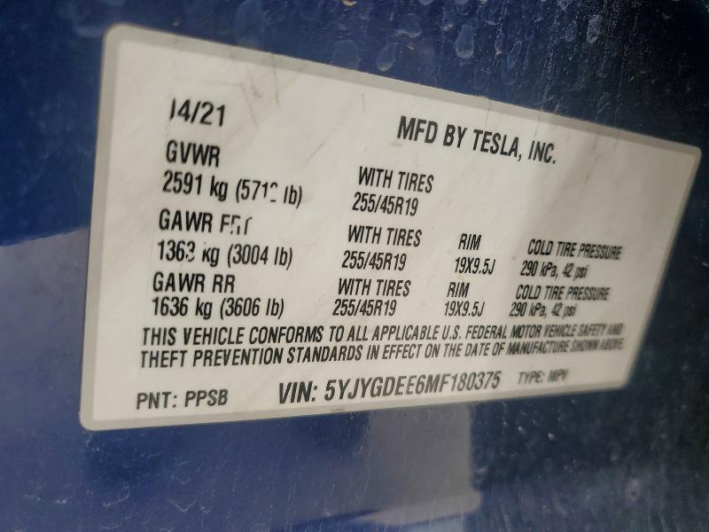 Продаж на аукціоні авто 2021 Tesla Model Y, vin: 5YJYGDEE6MF180375, номер лоту: 50308436