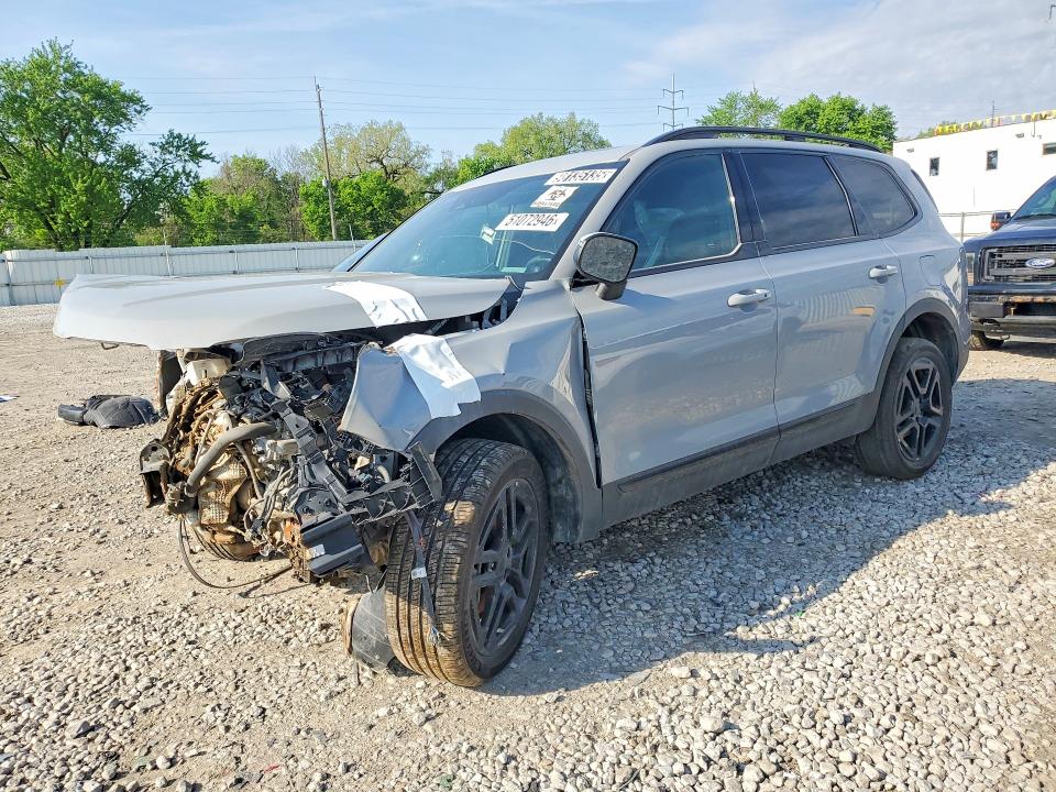 Продаж на аукціоні авто 2025 Kia Telluride, vin: 5XYP3DGCXSG599323, номер лоту: 51072946