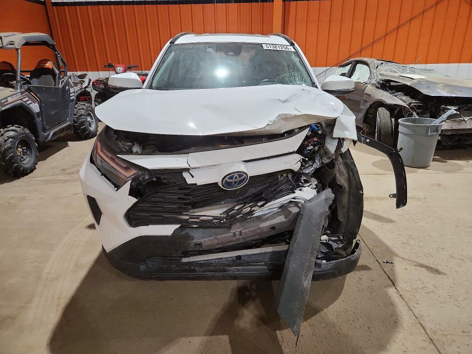 51381256 :رقم المزاد ، 2T3RWRFV6RW199982 vin ، 2024 Toyota Rav4 Hybrid مزاد بيع