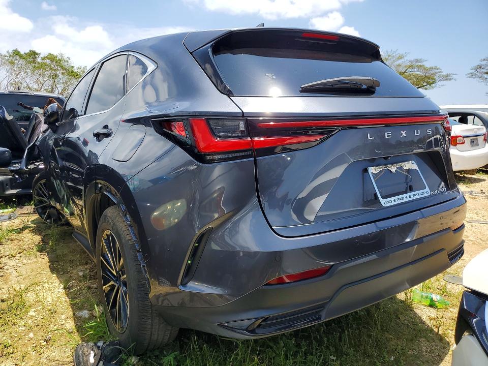 79054135 :رقم المزاد ، JTJGDCAZ8R2010534 vin ، 2024 Lexus Nx 250 مزاد بيع