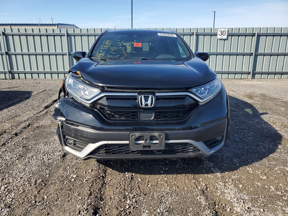 47826646 :رقم المزاد ، 2HKRW2H41LH206993 vin ، 2020 Honda Cr-v مزاد بيع