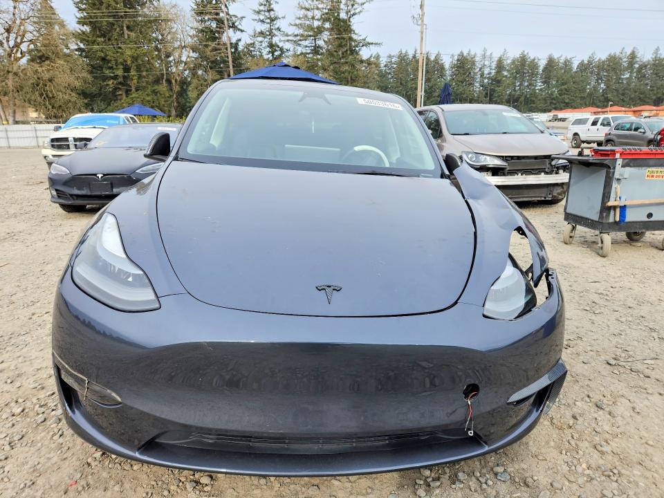 Продаж на аукціоні авто 2023 Tesla Model Y, vin: 7SAYGDEE1PF896740, номер лоту: 50533616