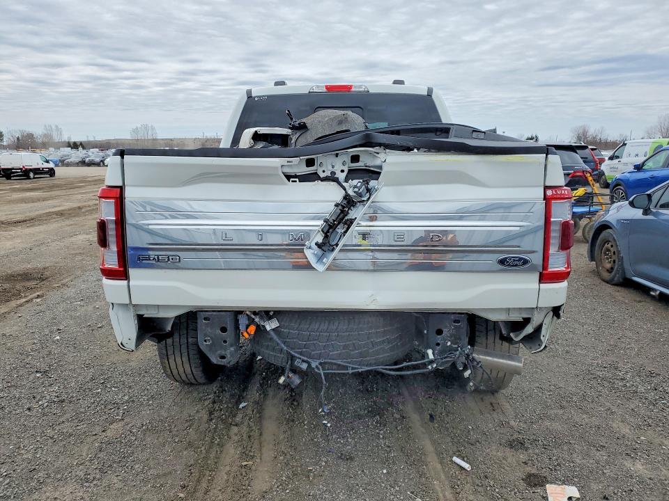 2023 Ford F150 მანქანა იყიდება აუქციონზე, vin: 1FTFW1ED9PFD15252, აუქციონის ნომერი: 49843806