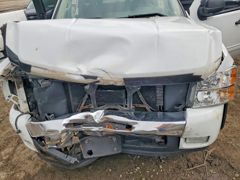 49702276 :رقم المزاد ، 1GCRCSE00BZ237248 vin ، 2011 Chevrolet Silverado مزاد بيع