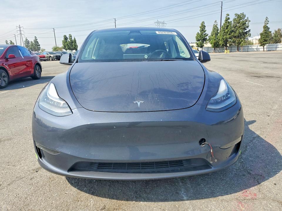 Продаж на аукціоні авто 2023 Tesla Model Y, vin: 7SAYGDEF4PA048633, номер лоту: 49285896