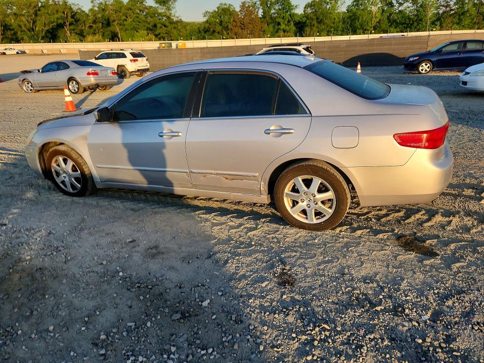 51003366 :رقم المزاد ، 1HGCM66895A049816 vin ، 2005 Honda Accord مزاد بيع