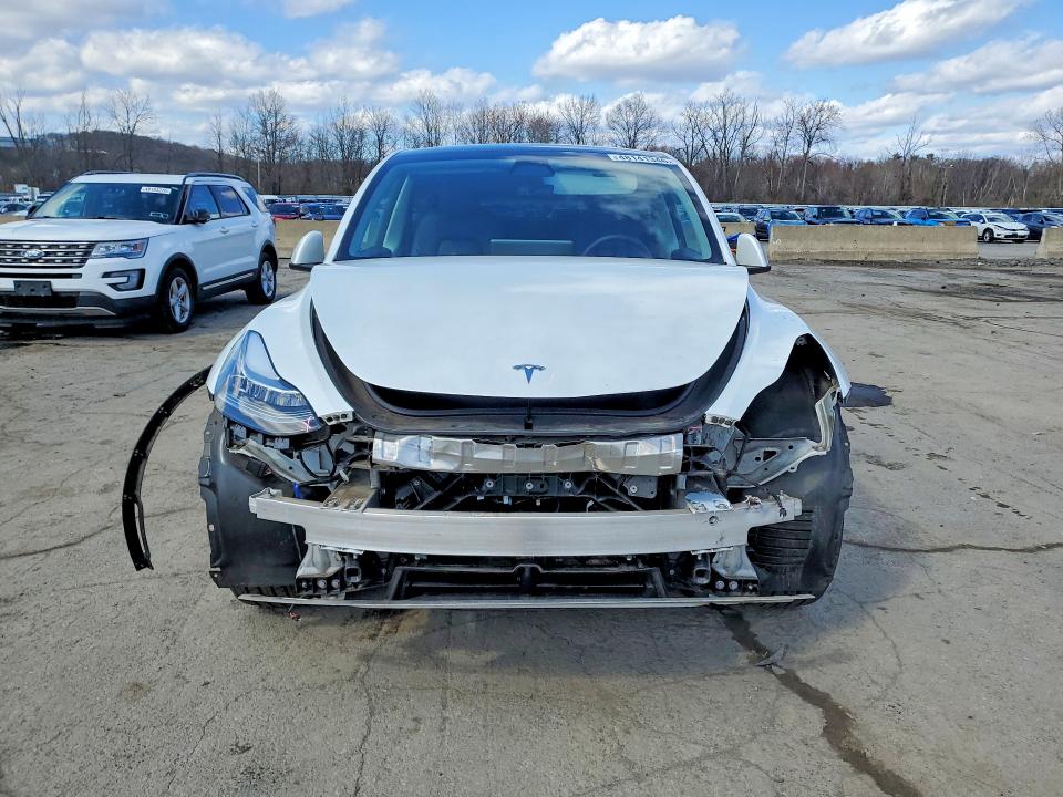 Продаж на аукціоні авто 2023 Tesla Model Y, vin: 7SAYGDEE4PA120311, номер лоту: 48141346