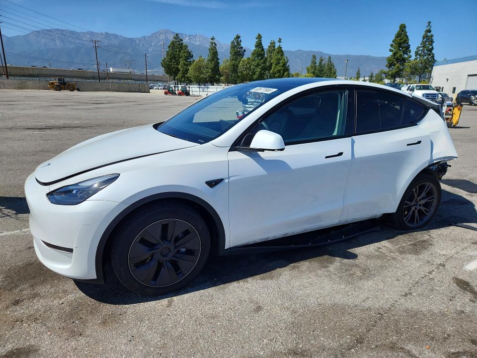 Auction sale of the 2025 Tesla Model Y, vin: 7SAYGDED2SF248453, lot number: 50677666