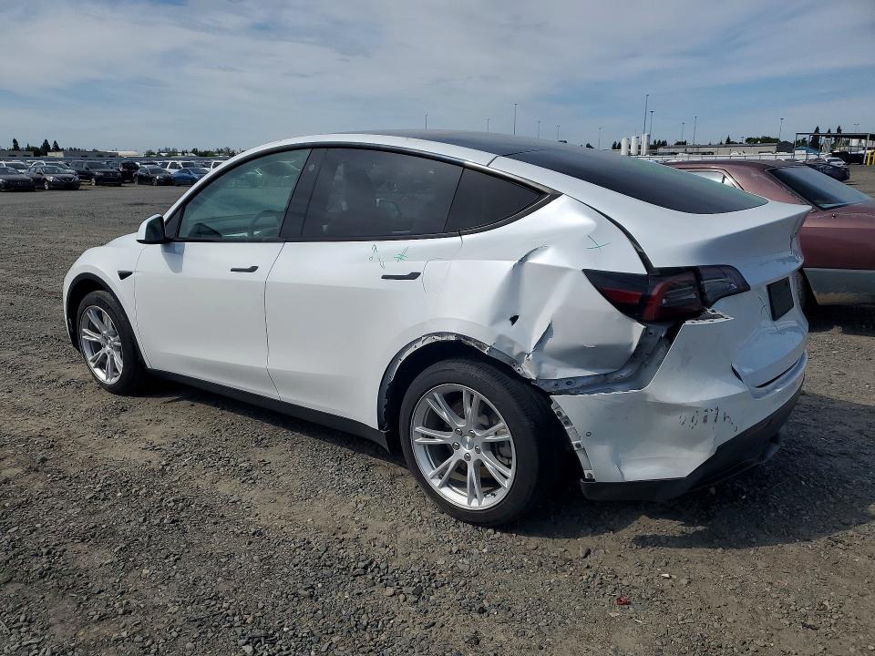 Продаж на аукціоні авто 2021 Tesla Model Y, vin: 5YJYGDEE3MF225109, номер лоту: 49823106