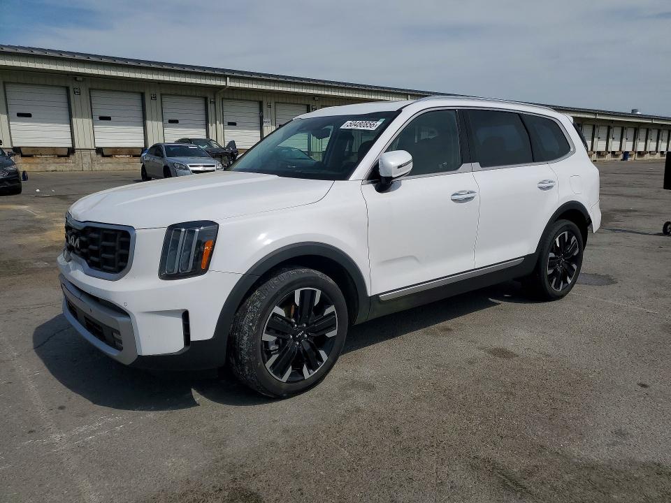 50480856 :رقم المزاد ، 5XYP5DGC5RG413210 vin ، 2024 Kia Telluride مزاد بيع