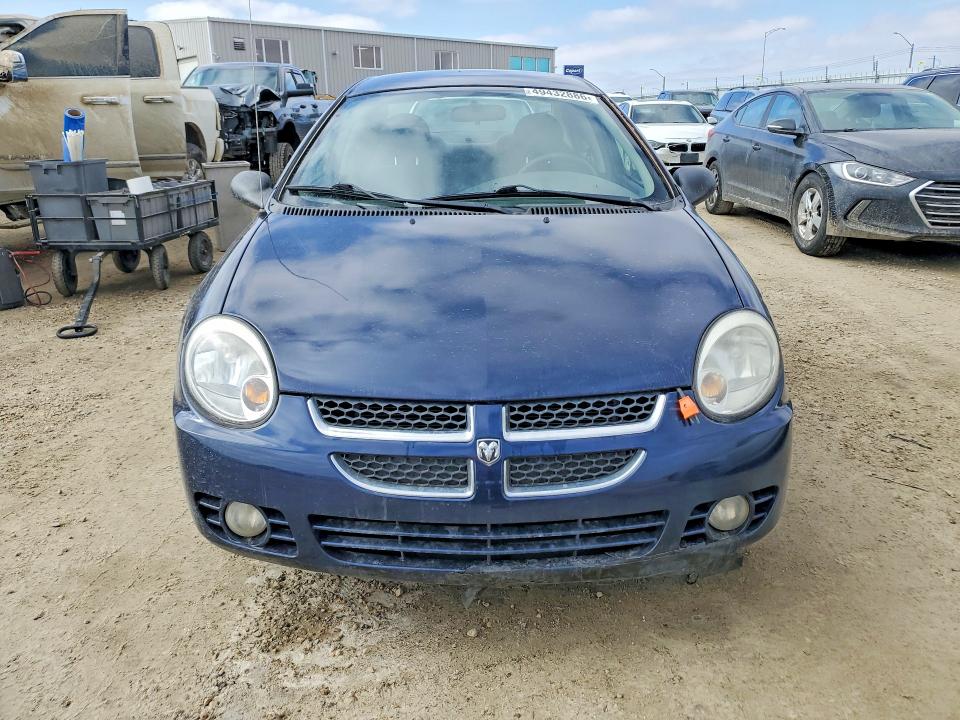 Продаж на аукціоні авто 2005 Dodge Neon, vin: 1B3ES46C55D143195, номер лоту: 49432886