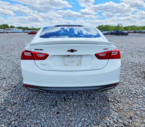 51805806 :رقم المزاد ، 1G1ZG5STXPF117947 vin ، 2023 Chevrolet Malibu مزاد بيع