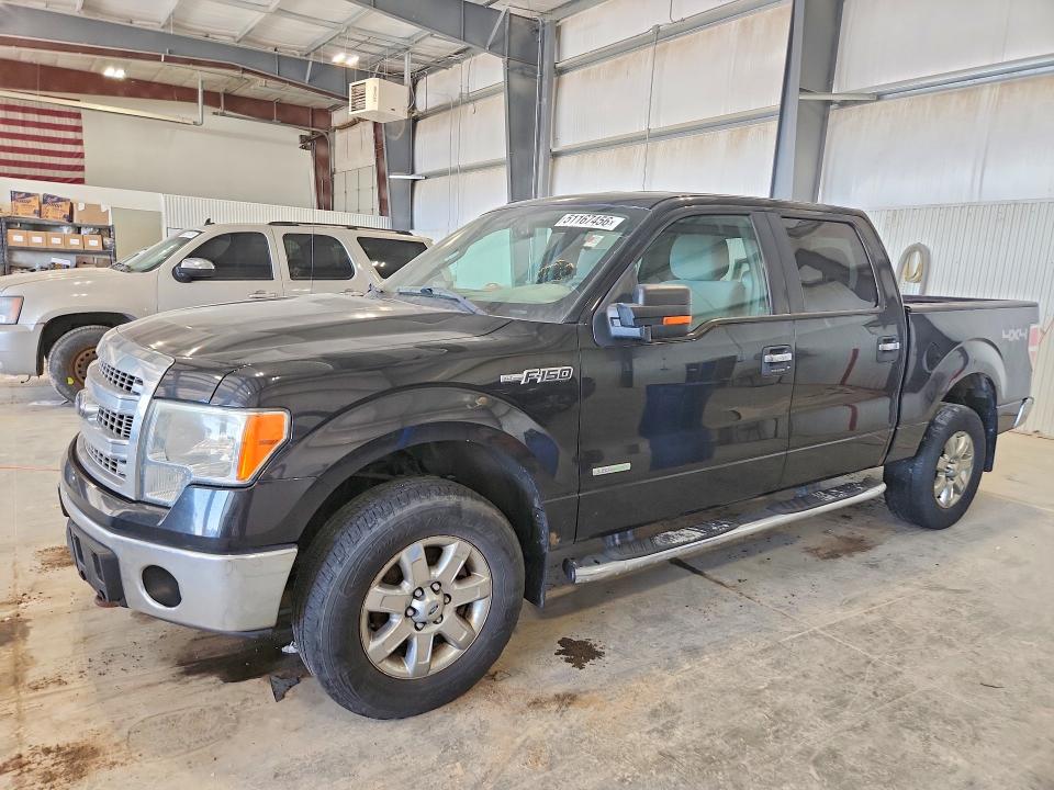 51167456 :رقم المزاد ، 1FTFW1ETXDKE34373 vin ، 2013 Ford F150 مزاد بيع