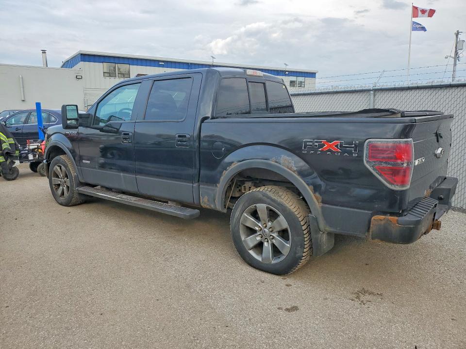 Продаж на аукціоні авто 2011 Ford F150, vin: 1FTFW1ET1BFA52786, номер лоту: 48259456