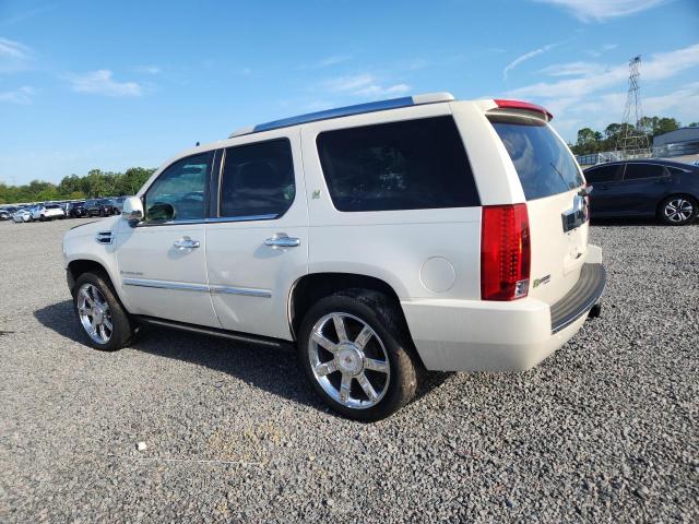 Продажа на аукционе авто 2009 Cadillac Escalade, vin: 1GYFC43509R273605, номер лота: 49826236
