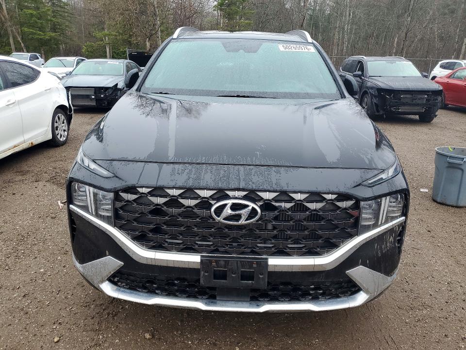 Продажа на аукционе авто 2023 Hyundai Santa Fe, vin: 5NMS5DAL7PH573904, номер лота: 50265976