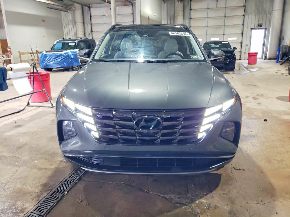Продажа на аукционе авто 2023 Hyundai Tucson Hybrid, vin: KM8JECA16PU095404, номер лота: 48503246