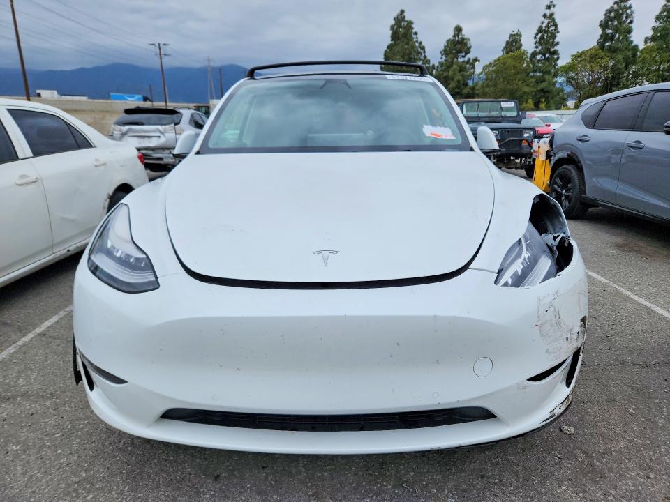 51377256 :رقم المزاد ، 5YJYGDEE2MF081679 vin ، 2021 Tesla Model Y مزاد بيع